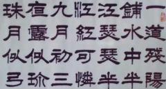 毛笔书法内容初学