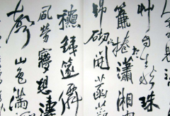 名人书法怪体及对