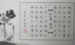 书法写作课程提高审美能力写作能力